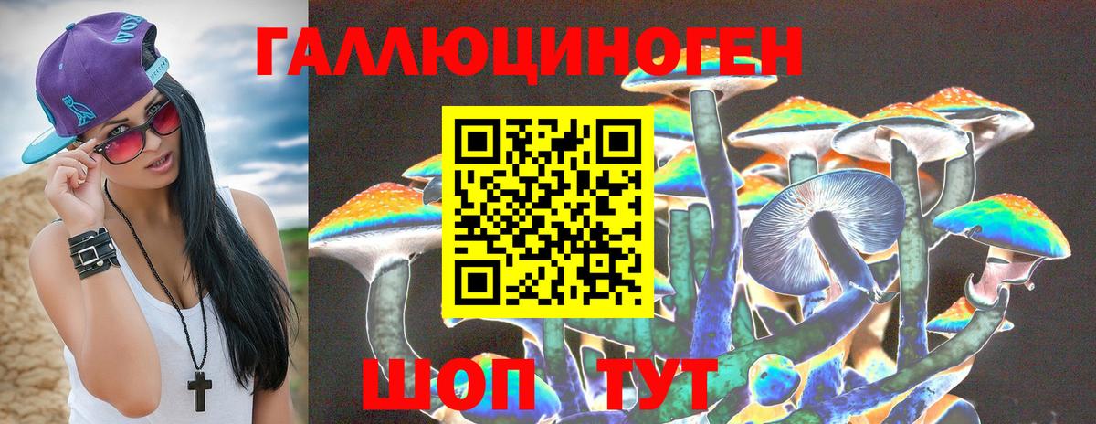 Чехов  Псилоцибиновые грибы Cubensis  Вход с VPN  Псилоцибиновые грибы MAGIC MUSHROOMS 